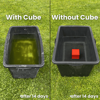 Filterbox